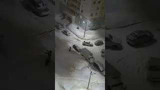 непарниковые дети. #метель #зима #мирумир #winter #дворовые