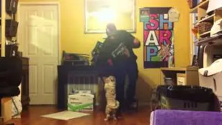 toybox - house dance freestyle 19 | house with puppies!