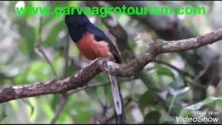 Garvaagrotourism & Birdwatching - Abloli