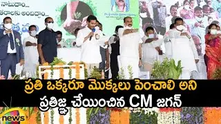 AP CM YS Jagan Along With Public Take Oath To Plant Trees In Vana Mahotsavam 2021 | Mango News