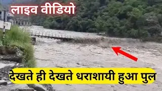 Live Video - तेज बहाव में समाया पुल | Heavy Rainfall | Himachal Pradesh | 2025