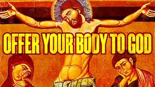 Our Body is a Temple of the Holy Spirit (w/ Fr. Stephen De Young)