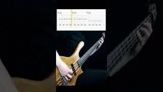 Molchat Doma - Sudno #bass #cover #tabs