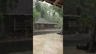 Beginilah suasana Jogja daerah Pedesaan 😍 | Jogja Official