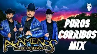 Los Alameños de la Sierra || MIX Puros Corridos 