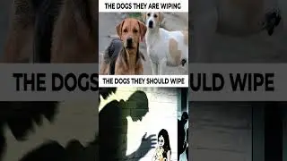 Society Targets the Wrong &lsquo;Dogs&rsquo; 🐕👉👤| #SocialAwareness #ProtectChildren #StopAbuse #RealEnemies