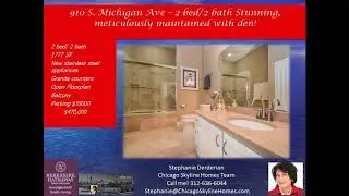 South Loop Condo on Michigan Avenue on Grant Park