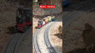 Mini train at Canberra #rap #music #fyp #trending