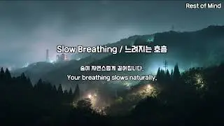 Classic Guitar Sleep – Vol.49Soft Night Guitar