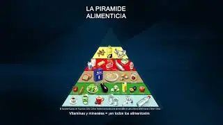 WebDia | Los grupos de alimentos de la pirámide alimentaria