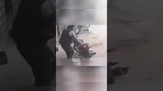 Funny Moments Vol.58 - Best Moments of December 2024!!! #funny #failsandlaughs #memes