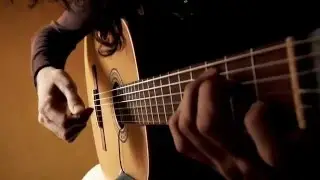 Musk Ox - Solstice
