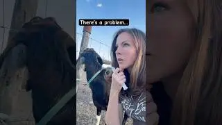 I spoke too soon&hellip; we have a problem 🤦🏻&zwj;♀️