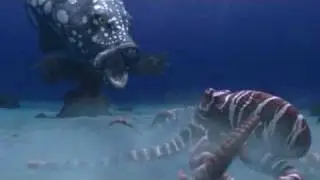 Cadbury - Spots Vs Stripes Funny Commercial (Fish Battle)