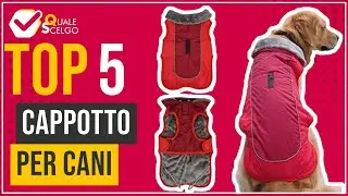 Cappotto per cani - Top 5 - (QualeScelgo)