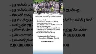 Donkey Farming Business Idea - High-Profit Livestock Farming!