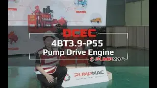 DCEC Cummins 4BT3.9-P55 Pump Engine Introduction 2022 [Specifications and Scopes of Supply]