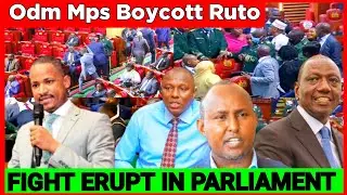 Ruto Kwisha! Fight Erupts in Parliament as ODM & UDA Mps Clash over the Impeachment of UDA Governor 
