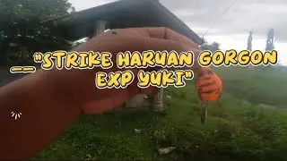 Strike Haruan Gorgon EXP YIKU