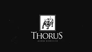 TREINAMENTO INTELIG&Ecirc;NCIA EMOCIONAL DE ALTO IMPACTO [THORUS AERO SERVICE]