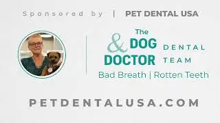 Dog and Doctor Dental Team with Dr Redmon and Cilantro #borderterrier #spoof #petdentalcare #dog