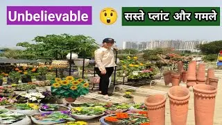 Roadside Cheapest Plant Nursery | Buy Plant And Pots | Gotrav |