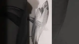 #scary #art shark