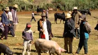 Région d'Antsirabé - Madagascar