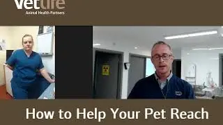 Vetlife: weight loss in animals