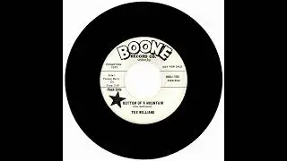 TEX WILLIAMS - BOTTOM OF A MOUNTAIN