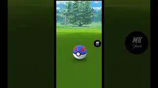 Hundo Litwick on October Community day in Pok&eacute;mon GO || #222 || Pok&eacute;mon GO #shorts
