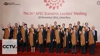 APEC Chinese delegation: More countries interested in joining RCEP free trade agreement
