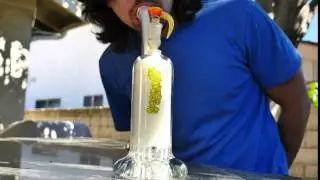 Leisure pregnant Perc Bubbler HD