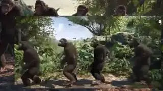 Tenejapa baile muy chistoso aleatorio musical
