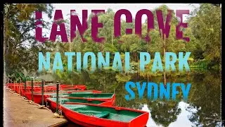 Lane Cove National Park - Sydney