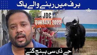 JDC Qurbani || JDC Foundation Qurbani || EID VLOG
