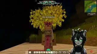 Kobold Adventures :D | Momo | VOD