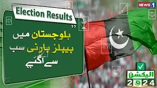 PPP Big Victory In Election 2024 | Asif Zardari Big Game | Breaking News | NewsOne