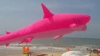 Buổi sáng ở làng chài ven biển Quảng Trường Phước Hải 🏄 2/8/2025
