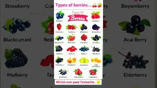 types of berries 🍒🍓 in english 🤔 with unique study..#berries #english