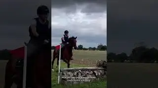 I love the over jump! creds: @PhoebeCharlotte_Equestrian 