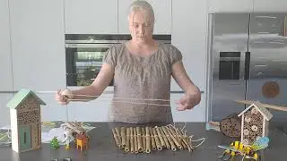 Fabrique un abri à abeilles solitaires avec la Coccinelle