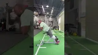 Back Extension