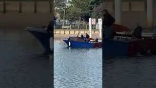#shorts #fypシ゚viral  #sailing #boating #australia #robbiewithoutacatchphrase