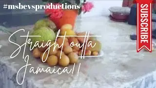 Naseberries...Plums...breadfruits......hahahaaaaa. Straight outta Jamaica!!