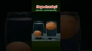 Tuxum nega choʻkmadi? Javobi commentda! #jaloliddin #muminov #experiment #tajriba