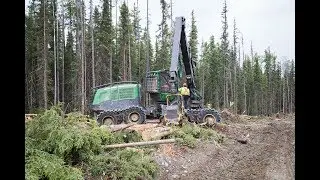 Lo-Bar Commercial Thinning Trial