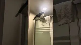 Howard Inspects Top of Shower in Chattanooga Hotel 9.11