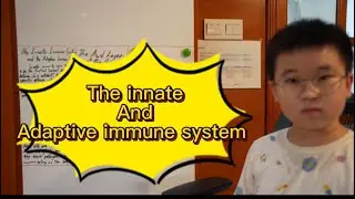 IMMUNE: The Hidden Universe in Your Body (part 2) @kurzgesagt 