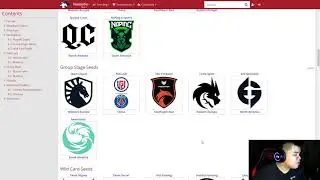 Introducing Dota 2 Animajor - organized by WePlay Esports!